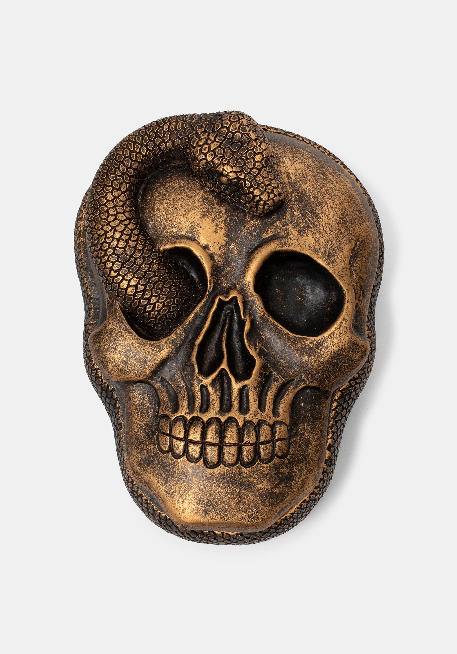 LS5543_OPHIONSNAKETRINKETBOX_007