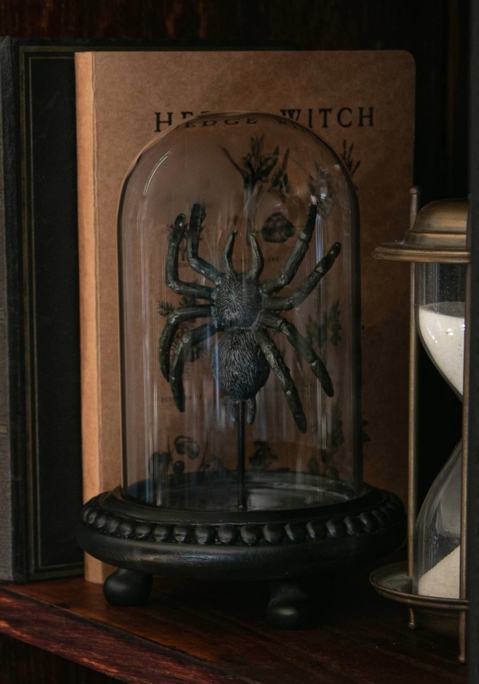 OT3312ARACHNESPIDERINJARCROP